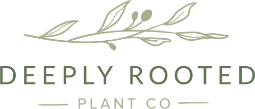 Deeply Rooted Plant Co